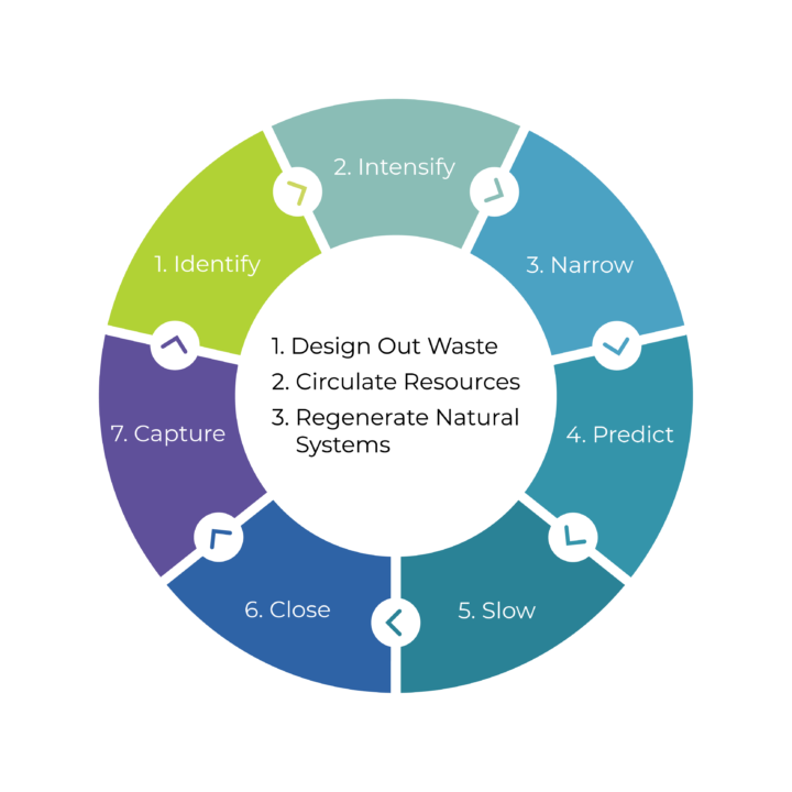 A circular chart showing seven phases for desiging out waste, circulating resources and regenerating natural systems